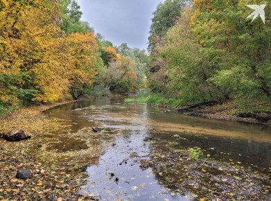 Ноябрь 2025: чем удивит Беларусь и какие новшества нас ждут