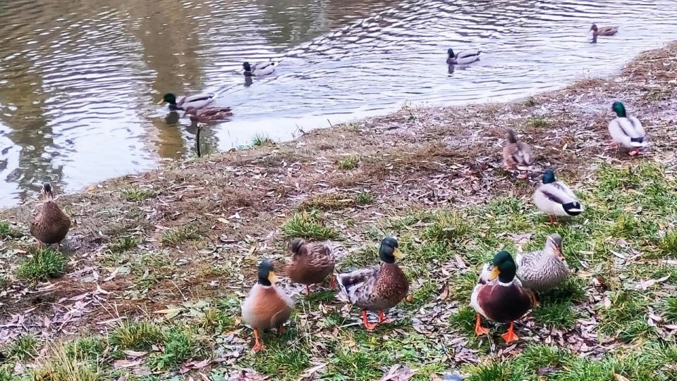 Сегодня, 5 ноября, нас ждёт переменная облачность