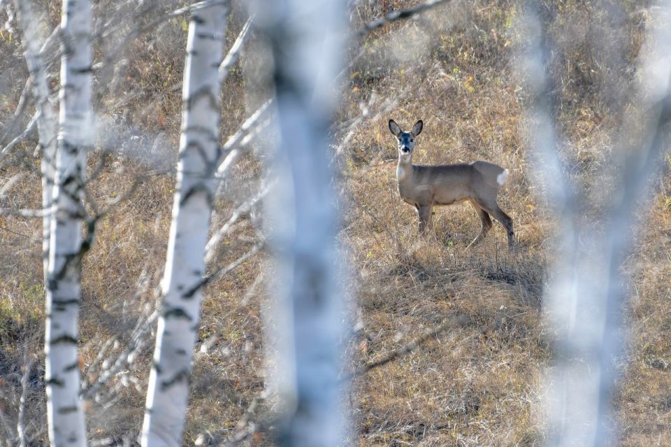 Погода 5 ноября. Сегодня ожидается переменная облачность Погода 5 ноября. Сегодня ожидается переменная облачность