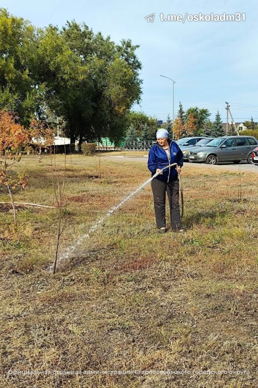«Сохраним лес»!. Старооскольский городской округ присоединился к Всероссийской осенней акции «Сохраним лес» «Сохраним лес»!. Старооскольский городской округ присоединился к Всероссийской осенней акции «Сохраним лес»