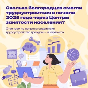 С начала 2025 года службы занятости Белгородской области помогли найти работу более 6 500 человек