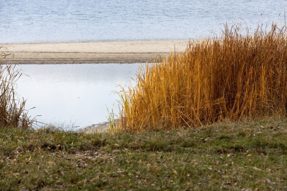В районе «Пикник-Парка» образовалась обширная коса В районе «Пикник-Парка» образовалась обширная коса