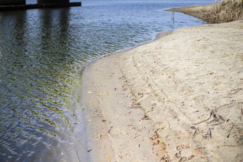В районе «Пикник-Парка» образовалась обширная коса В районе «Пикник-Парка» образовалась обширная коса