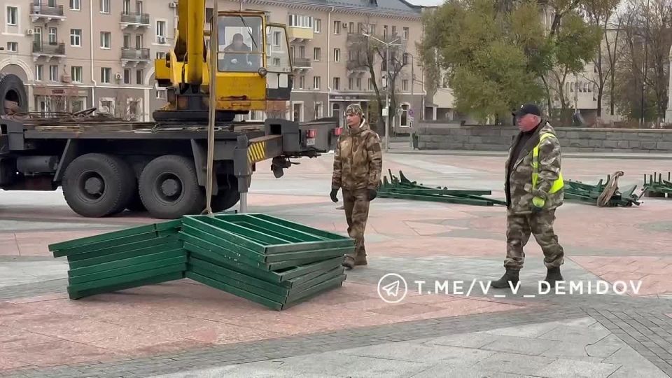 Главную новогоднюю ель на Соборной площади в столице региона установят за 35 дней