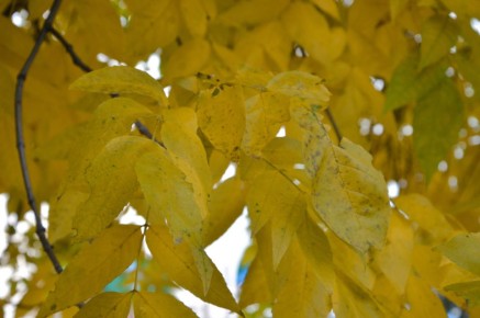 Осень напоминает нам о важности каждого момента