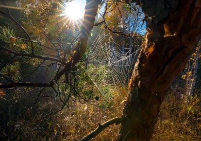 Погода 6 ноября. Сегодня в Белгороде облачно