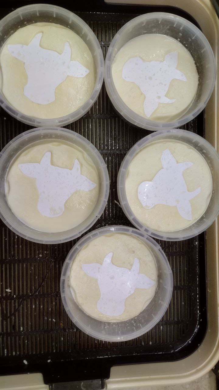 Николай Нестеров: Социальный контракт на ведение личного подсобного хозяйства пользуется популярностью среди жителей сельской местности Николай Нестеров: Социальный контракт на ведение личного подсобного хозяйства пользуется популярностью среди жителей сельской местности