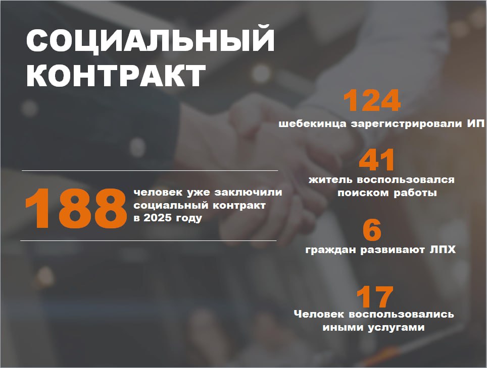 Андрей Гриднев: Социальный контракт продолжает быть одной из наиболее действенных мер поддержки, благодаря которой шебекинцы преодолевают финансовые трудности или развивают собственное дело
