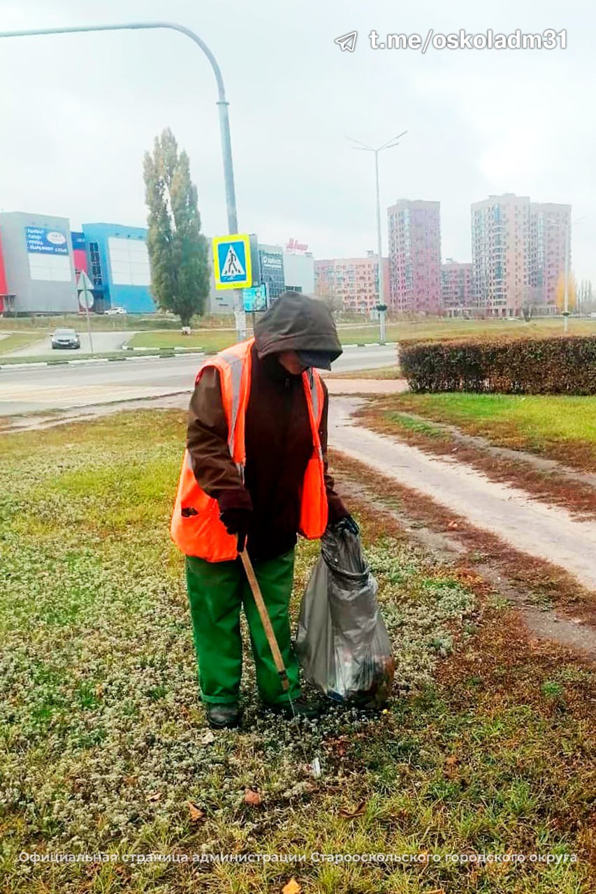 Зеленстрой — на страже чистоты Старого Оскола! Зеленстрой — на страже чистоты Старого Оскола!