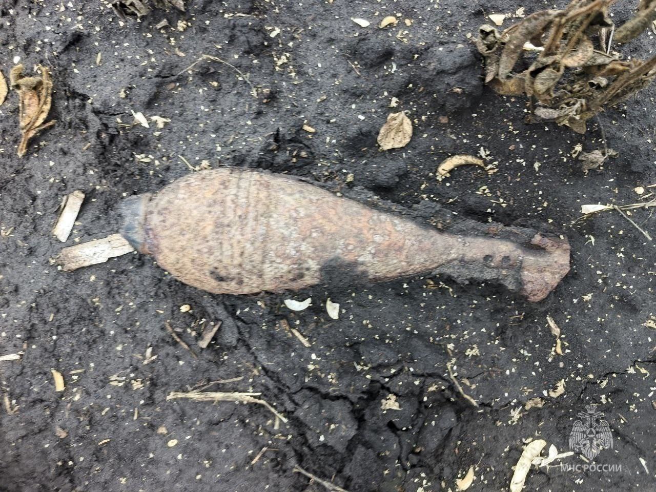 За прошедшие сутки на территории региона пожаров не зарегистрировано