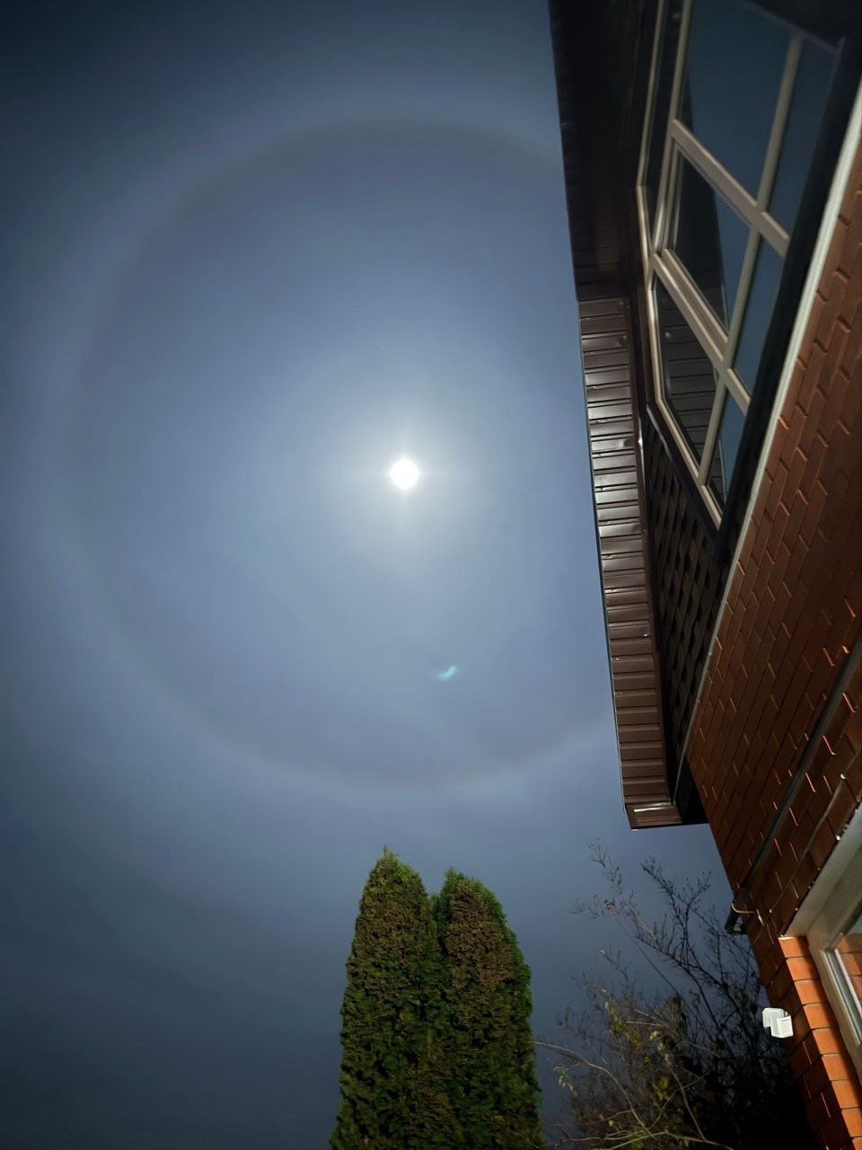 Двойной удар красоты: лунное гало и Бобровая Луна (Луна охотника) Двойной удар красоты: лунное гало и Бобровая Луна (Луна охотника)