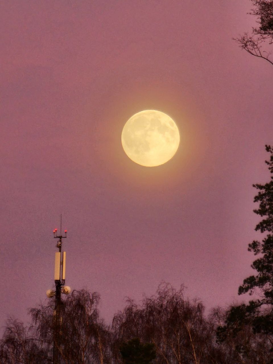 Двойной удар красоты: лунное гало и Бобровая Луна (Луна охотника) Двойной удар красоты: лунное гало и Бобровая Луна (Луна охотника)