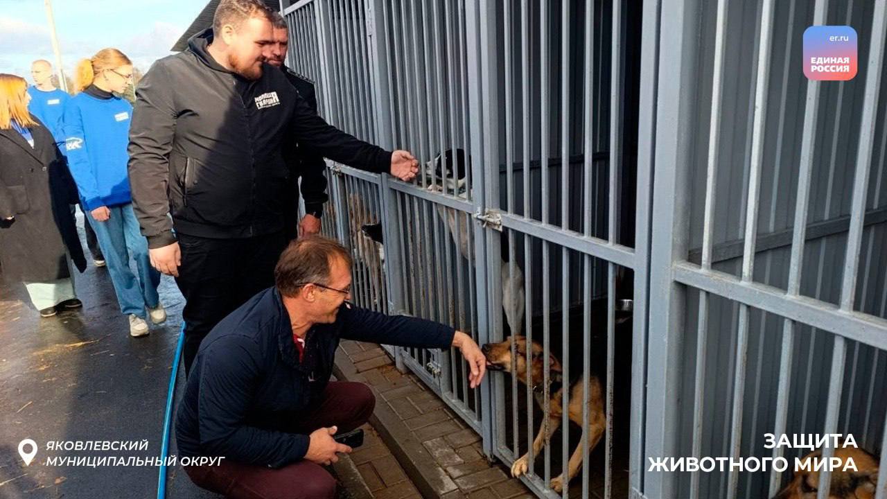Доброта в поступках: молодогвардейцы помогают четвероногим друзьям Доброта в поступках: молодогвардейцы помогают четвероногим друзьям