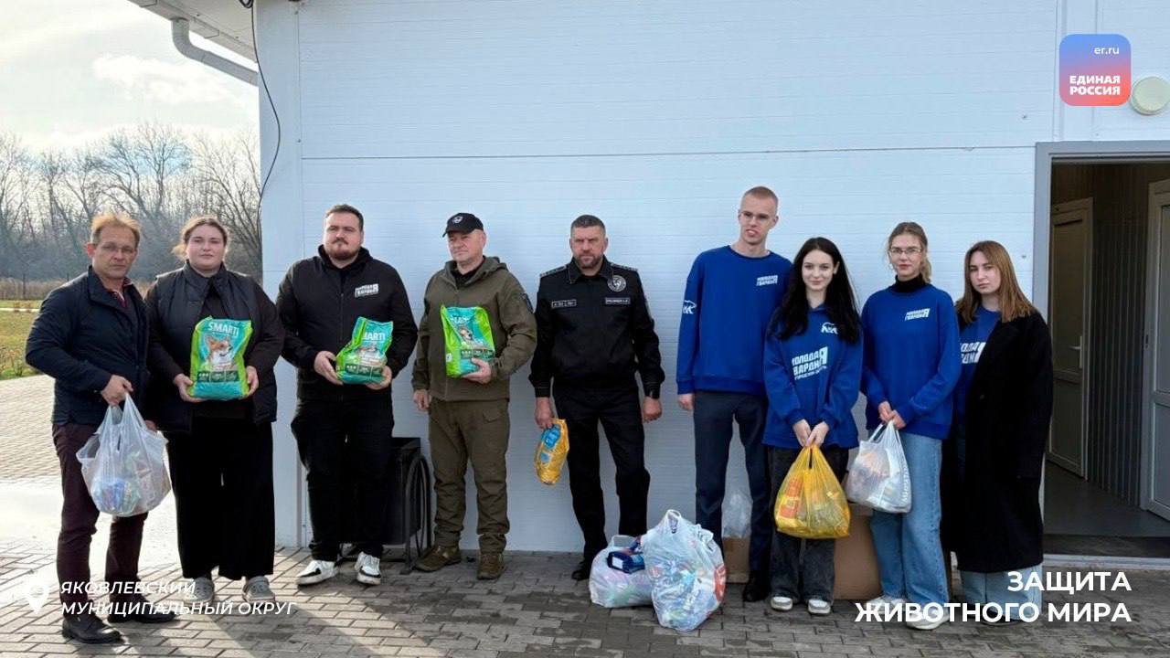 Доброта в поступках: молодогвардейцы помогают четвероногим друзьям Доброта в поступках: молодогвардейцы помогают четвероногим друзьям