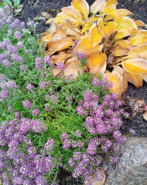 Прекрасные моменты очаровательной осени запечатлены в чудесных фотографиях от нашей подписчицы Ольги Бондарь