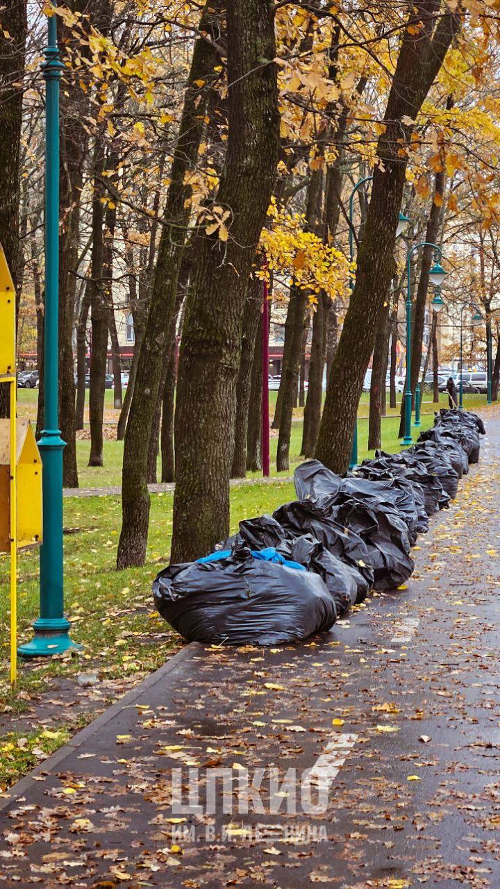 Осенние хлопоты в Парке Ленина Осенние хлопоты в Парке Ленина