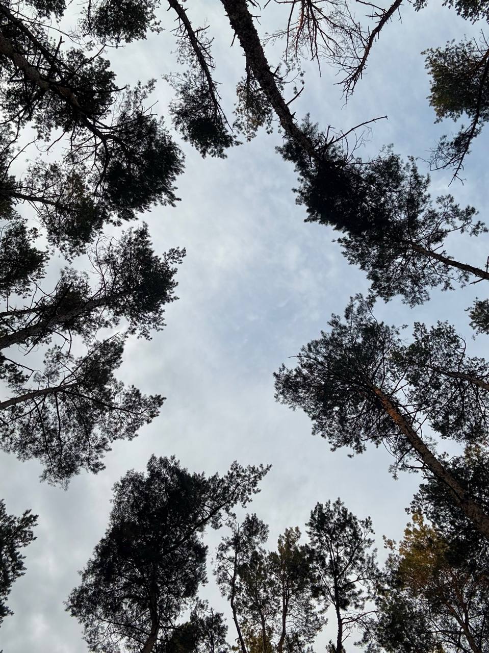 Пятница на «БелПрессе»!. Сейчас точно ноябрь? Пока погода приятная, наши подписчики гуляют по городу Пятница на «БелПрессе»!. Сейчас точно ноябрь? Пока погода приятная, наши подписчики гуляют по городу