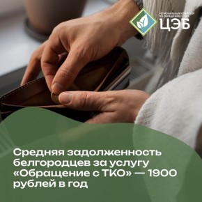 Мусорные долги: переплачивать себе дороже