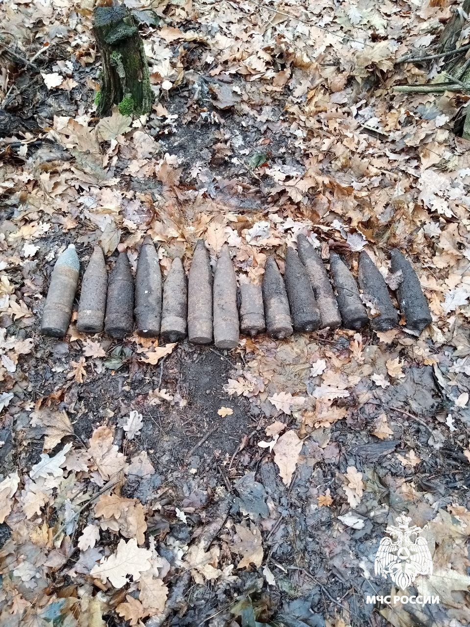 В Белгородской области обнаружены и ликвидированы опасные находки В Белгородской области обнаружены и ликвидированы опасные находки