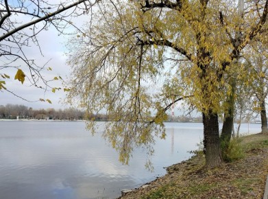 Сегодня, 7 ноября, синоптики обещают облачную с прояснениями погоду