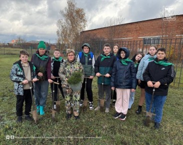 Юные экологи из Стригунов высадили аллею сосен в рамках акции «Сохраним лес»