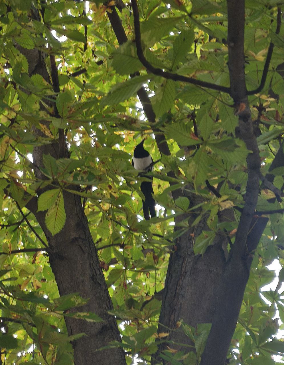 Пятница на «БелПрессе»!. Сейчас точно ноябрь? Пока погода приятная, наши подписчики гуляют по городу Пятница на «БелПрессе»!. Сейчас точно ноябрь? Пока погода приятная, наши подписчики гуляют по городу