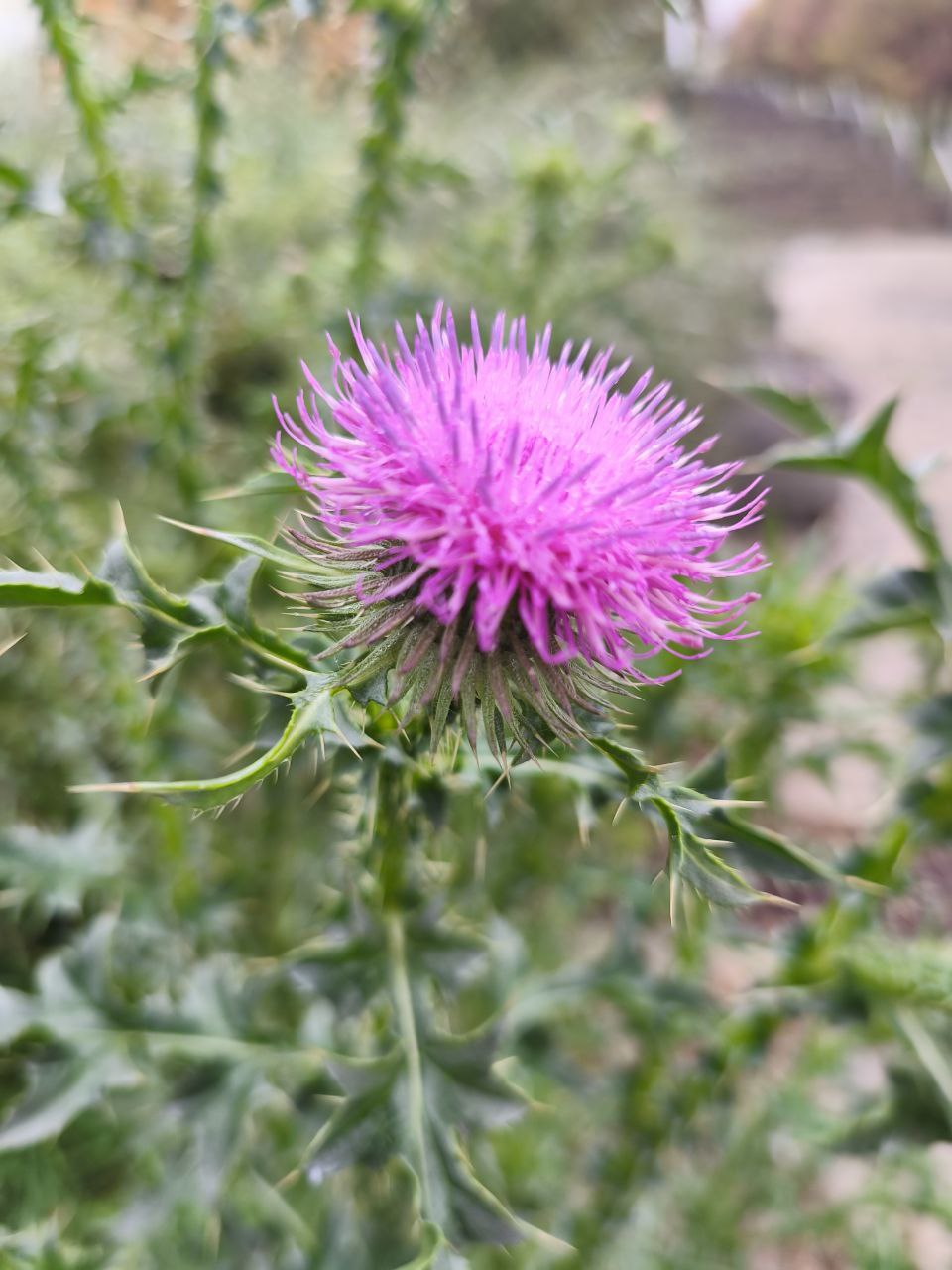 Пятница на «БелПрессе»!. Сейчас точно ноябрь? Пока погода приятная, наши подписчики гуляют по городу Пятница на «БелПрессе»!. Сейчас точно ноябрь? Пока погода приятная, наши подписчики гуляют по городу