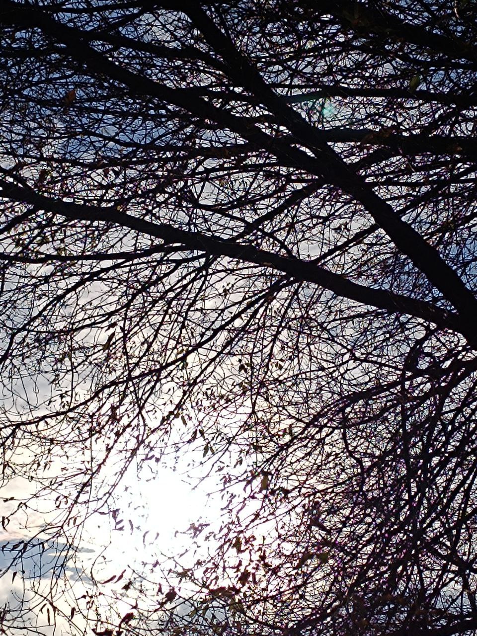 Пятница на «БелПрессе»!. Сейчас точно ноябрь? Пока погода приятная, наши подписчики гуляют по городу Пятница на «БелПрессе»!. Сейчас точно ноябрь? Пока погода приятная, наши подписчики гуляют по городу