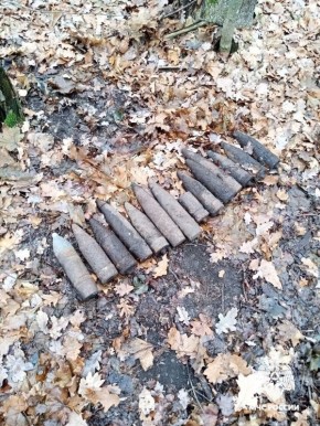 В Белгородской области обнаружены и ликвидированы опасные находки