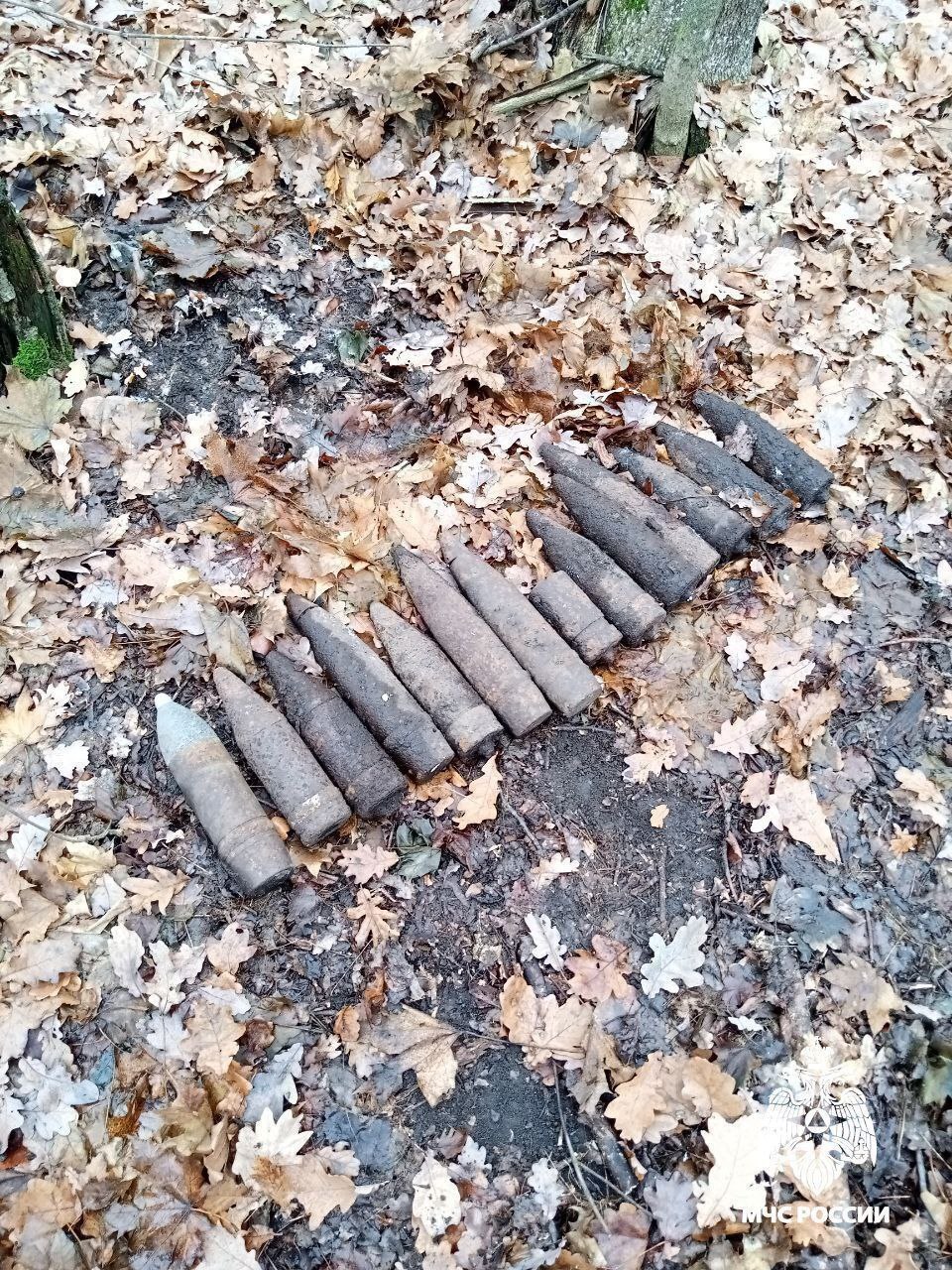 В Белгородской области обнаружены и ликвидированы опасные находки