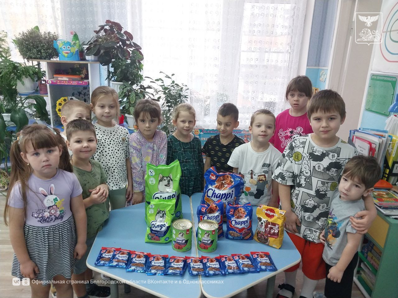 Более 15 000 белгородцев приняли участие в благотворительной акции «Протяни руку лапам» Более 15 000 белгородцев приняли участие в благотворительной акции «Протяни руку лапам»