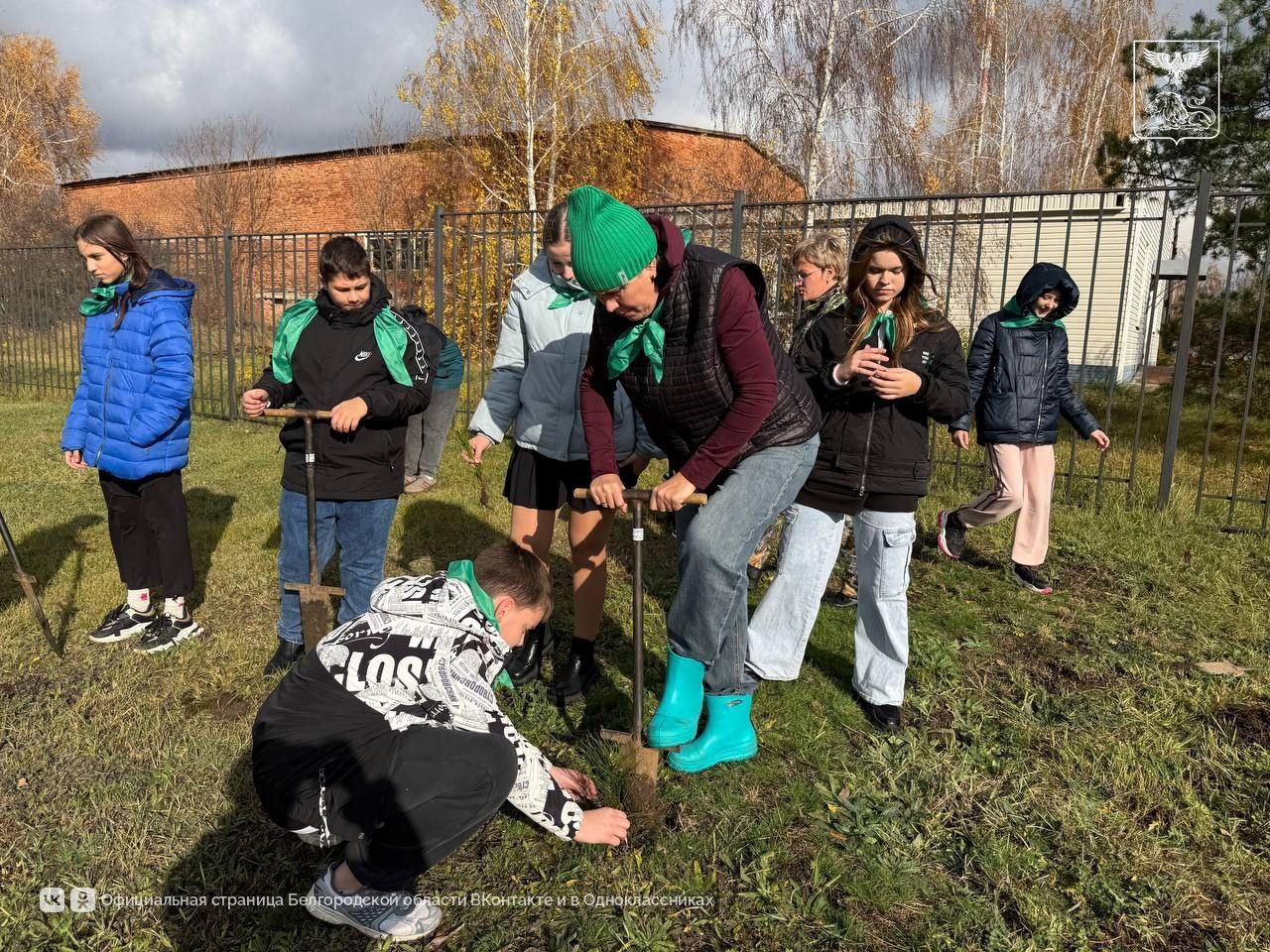 Юные экологи из Стригунов высадили аллею сосен в рамках акции «Сохраним лес» Юные экологи из Стригунов высадили аллею сосен в рамках акции «Сохраним лес»