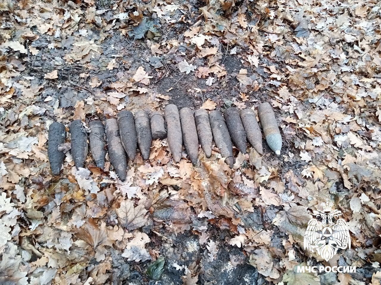 В Белгородской области обнаружены и ликвидированы опасные находки В Белгородской области обнаружены и ликвидированы опасные находки