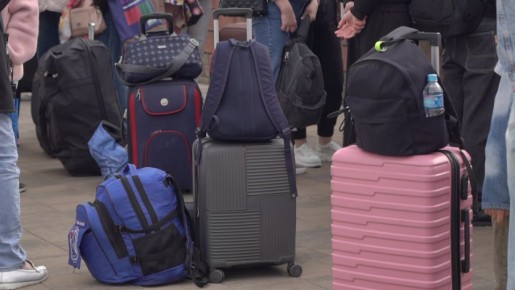 Гладков: около 400 пострадавших жителей Белгородской области отправятся в санатории Беларуси