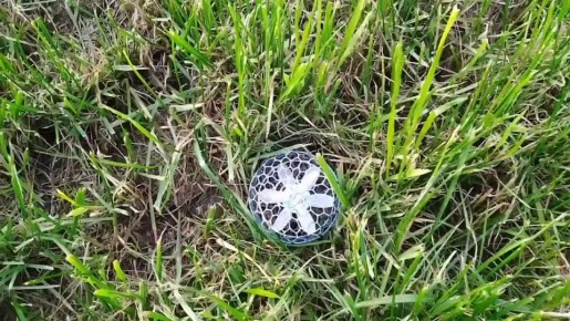 Сотрудник белгородской полиции зачитал речитатив для школьников