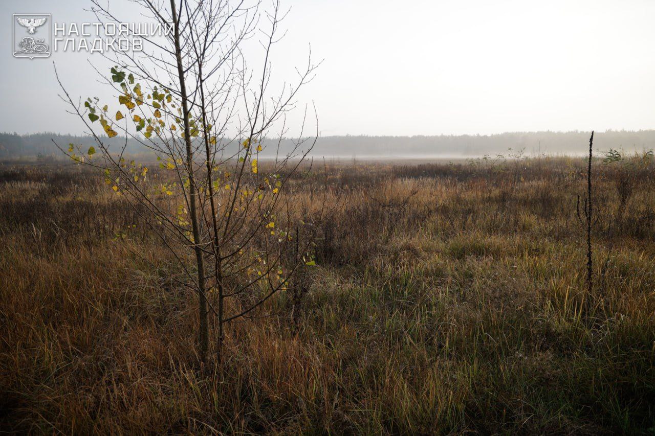 Вячеслав Гладков: Накануне выезжал на место, где по плану будем строить флагманскую президентскую школу Вячеслав Гладков: Накануне выезжал на место, где по плану будем строить флагманскую президентскую школу