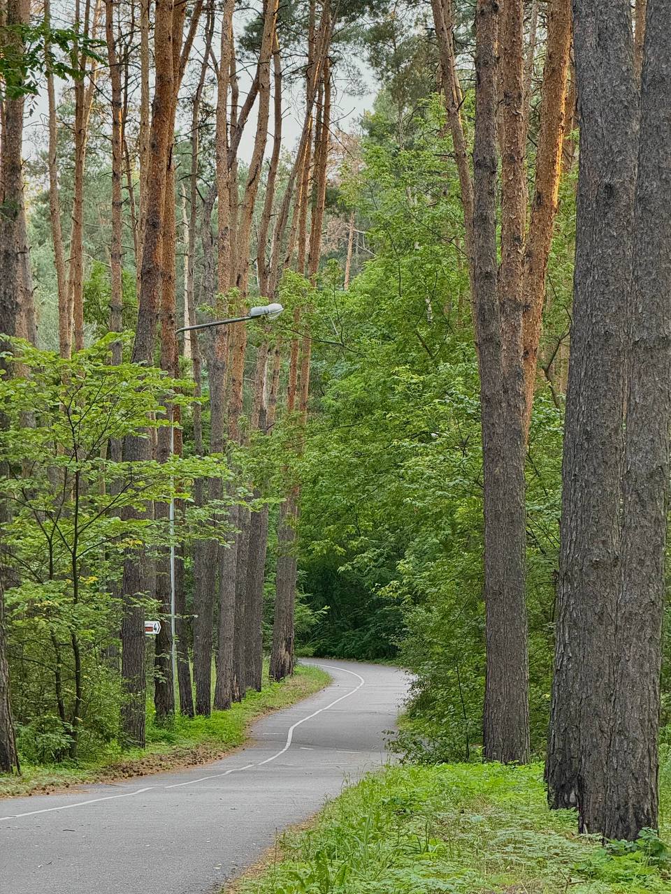 Пятница на «БелПрессе»!. Сейчас точно ноябрь? Пока погода приятная, наши подписчики гуляют по городу