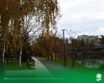 7 ноября. Температура воздуха 12°C, малооблачно, без осадков