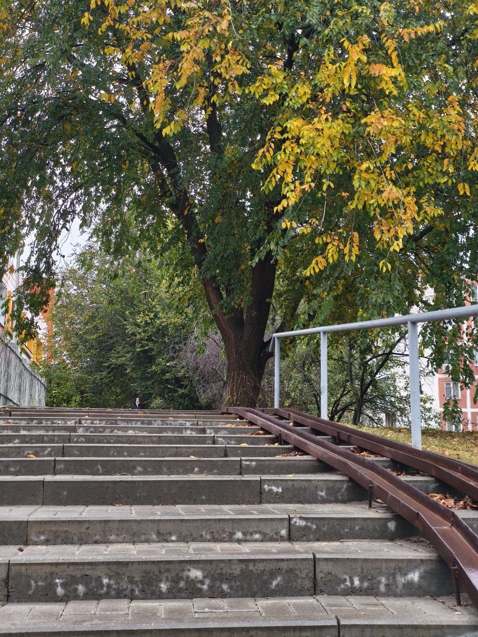 Пятница на «БелПрессе»!. Сейчас точно ноябрь? Пока погода приятная, наши подписчики гуляют по городу Пятница на «БелПрессе»!. Сейчас точно ноябрь? Пока погода приятная, наши подписчики гуляют по городу