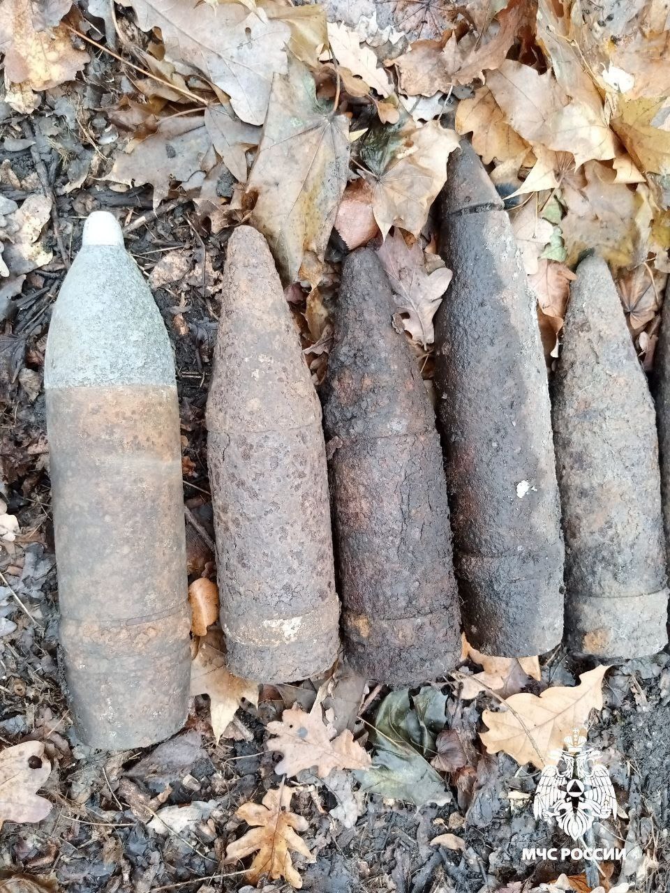 В Белгородской области обнаружены и ликвидированы опасные находки В Белгородской области обнаружены и ликвидированы опасные находки