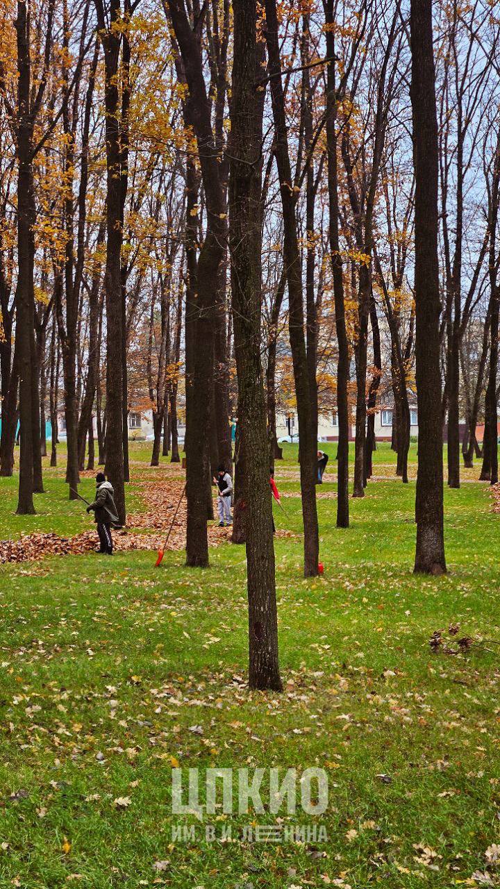 Осенние хлопоты в Парке Ленина Осенние хлопоты в Парке Ленина