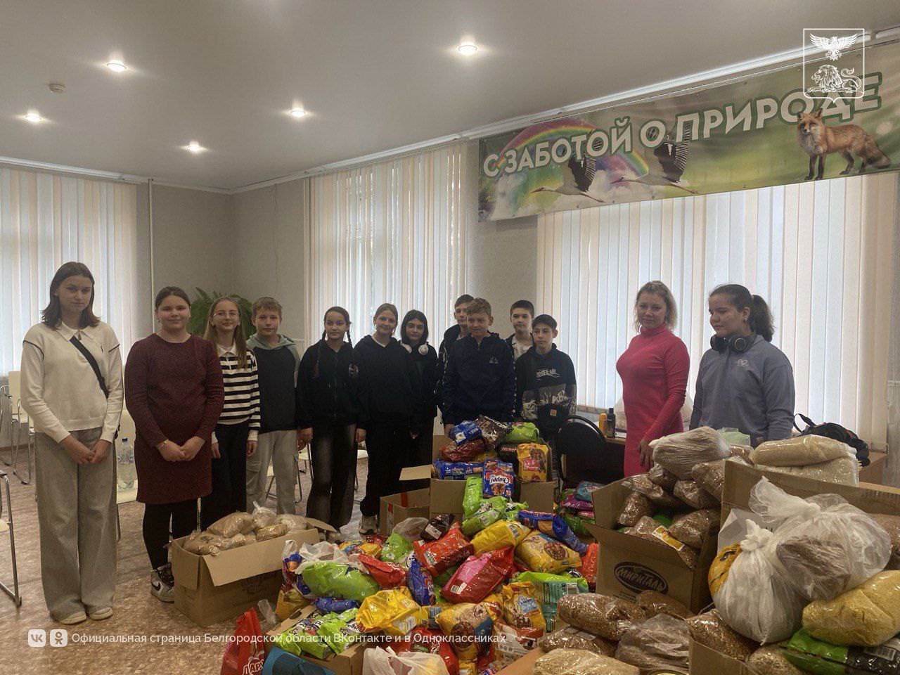 Более 15 000 белгородцев приняли участие в благотворительной акции «Протяни руку лапам» Более 15 000 белгородцев приняли участие в благотворительной акции «Протяни руку лапам»