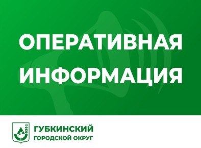 Михаил Лобазнов: За прошедшие сутки над нашим округом системой ПВО сбит один БПЛА самолётного типа