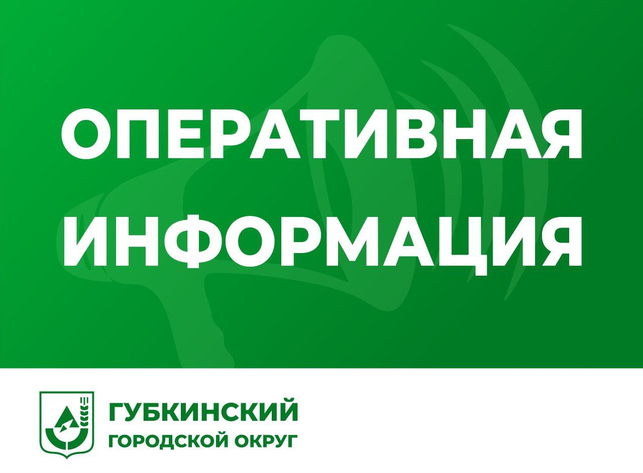 Михаил Лобазнов: За прошедшие сутки над нашим округом системой ПВО сбит один БПЛА самолётного типа