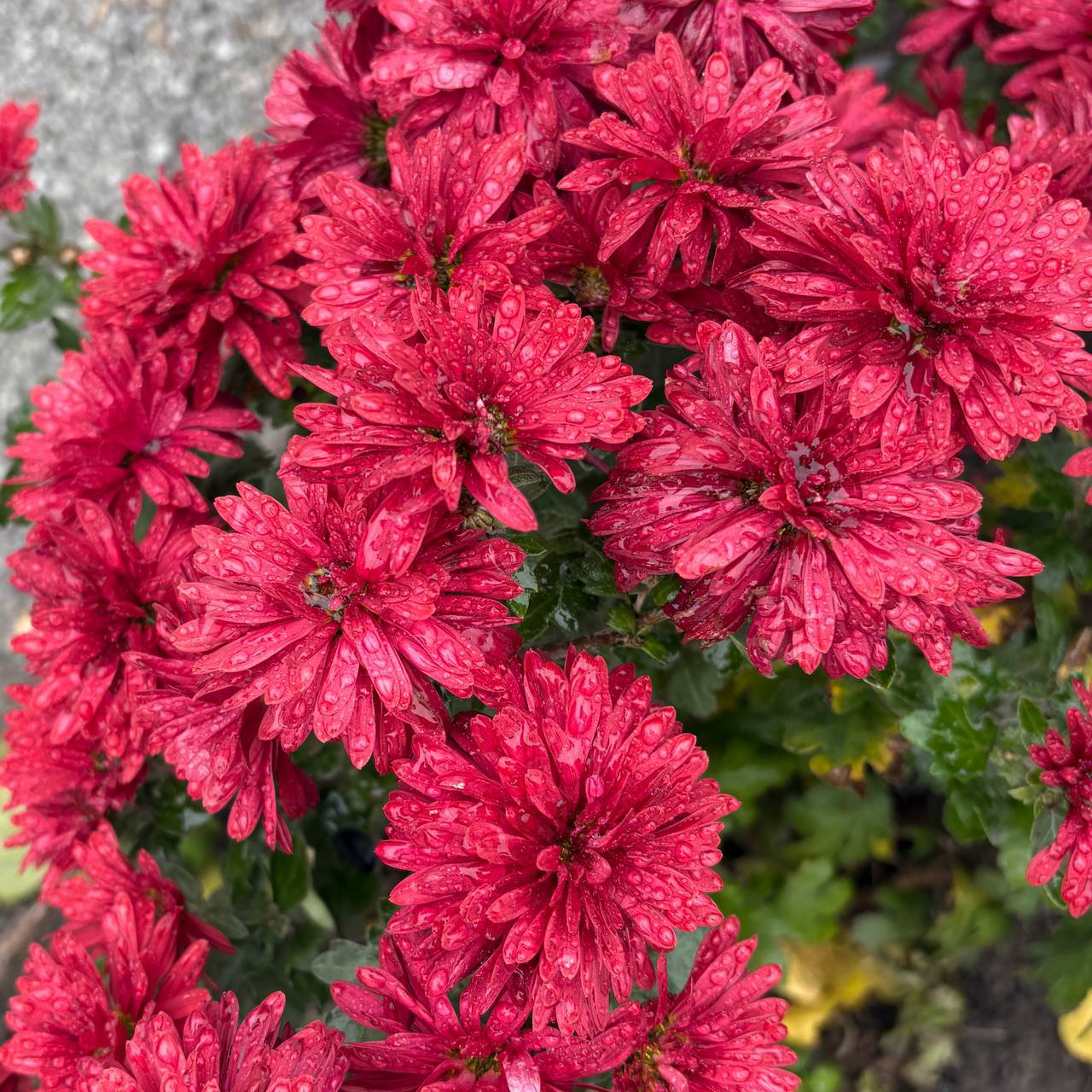 Татьяна Круглякова: Доброе утро, уважаемые друзья!