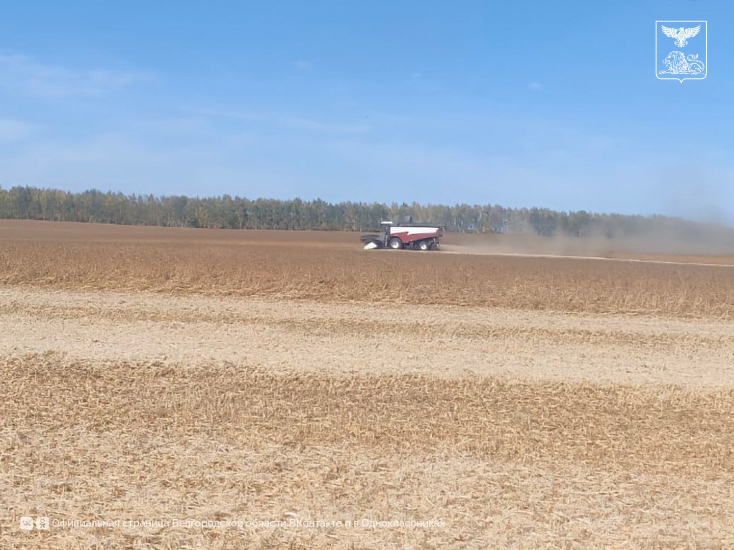 В Старооскольском округе подходит к завершению уборка зерновых и масличных культур В Старооскольском округе подходит к завершению уборка зерновых и масличных культур