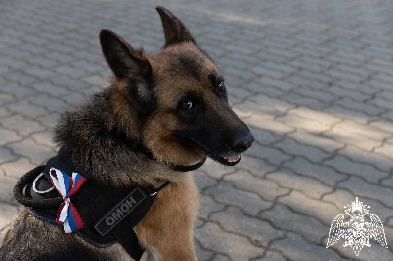 Белгородский ОМОН «Острог» отмечает 32-годовщину со дня образования Белгородский ОМОН «Острог» отмечает 32-годовщину со дня образования