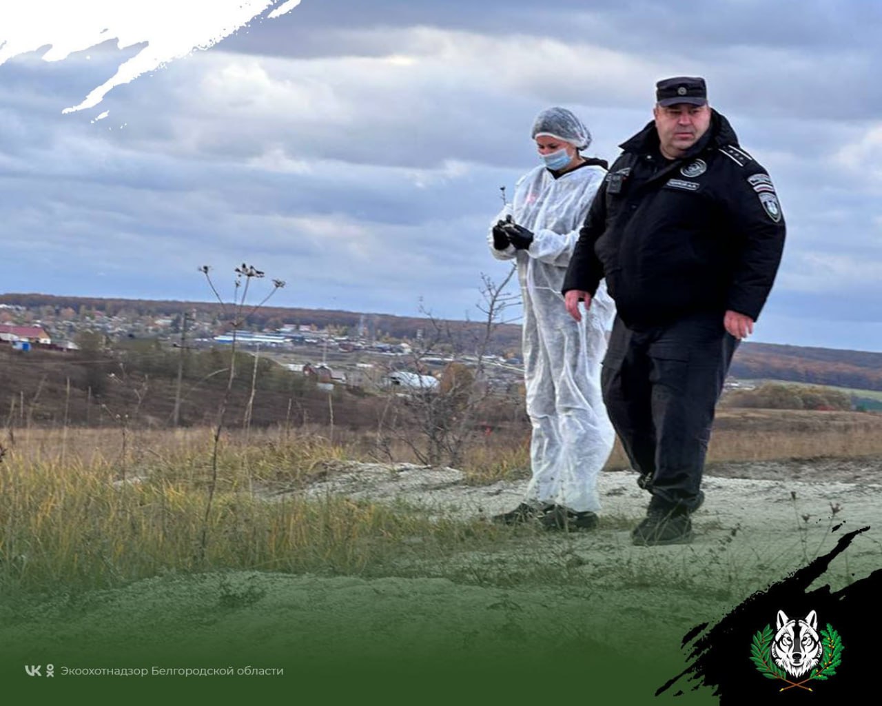 В белгородских охотничьих угодьях лисиц привили от бешенства В белгородских охотничьих угодьях лисиц привили от бешенства
