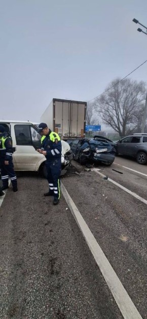 Семь человек, из которых четверо детей, пострадали в результате столкновения микроавтобуса с белгородскими детьми и легкового автомобиля в Курской области, сообщил Гладков