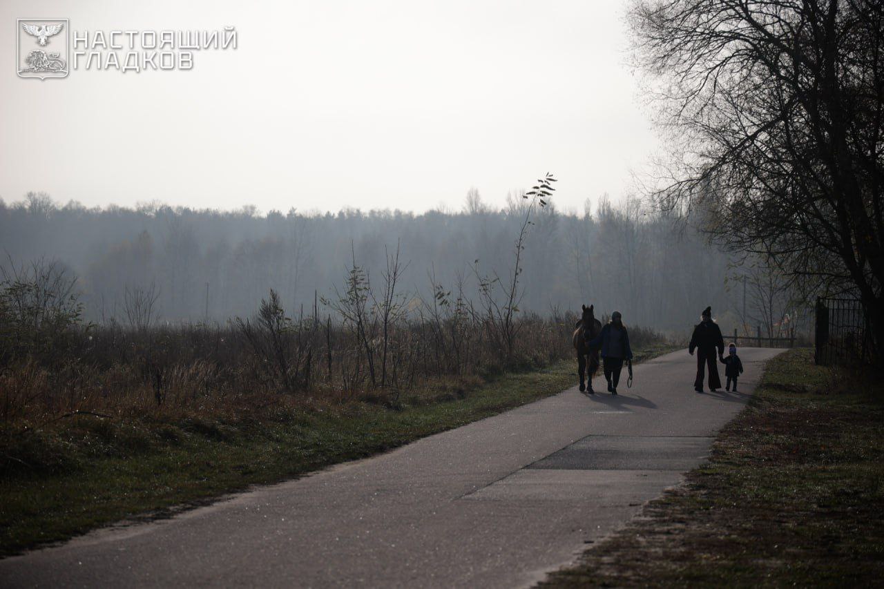Вячеслав Гладков поделился вариантами проектов президентской школы Вячеслав Гладков поделился вариантами проектов президентской школы